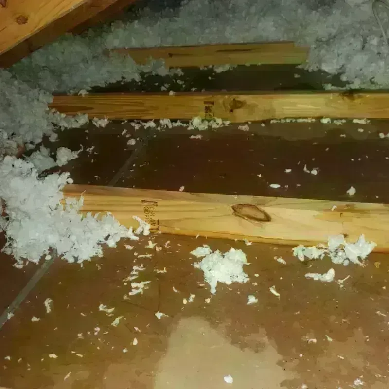 Attic Water Damage in Orlando, FL