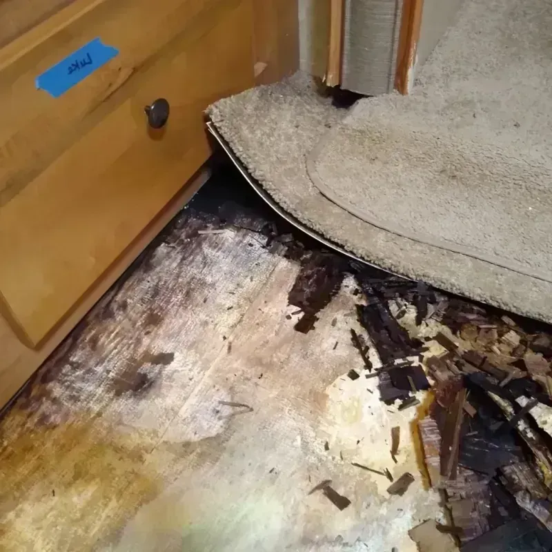 Wood Floor Water Damage in Orlando, FL